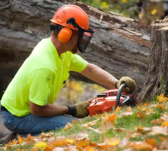 tree services Lake Lorelei